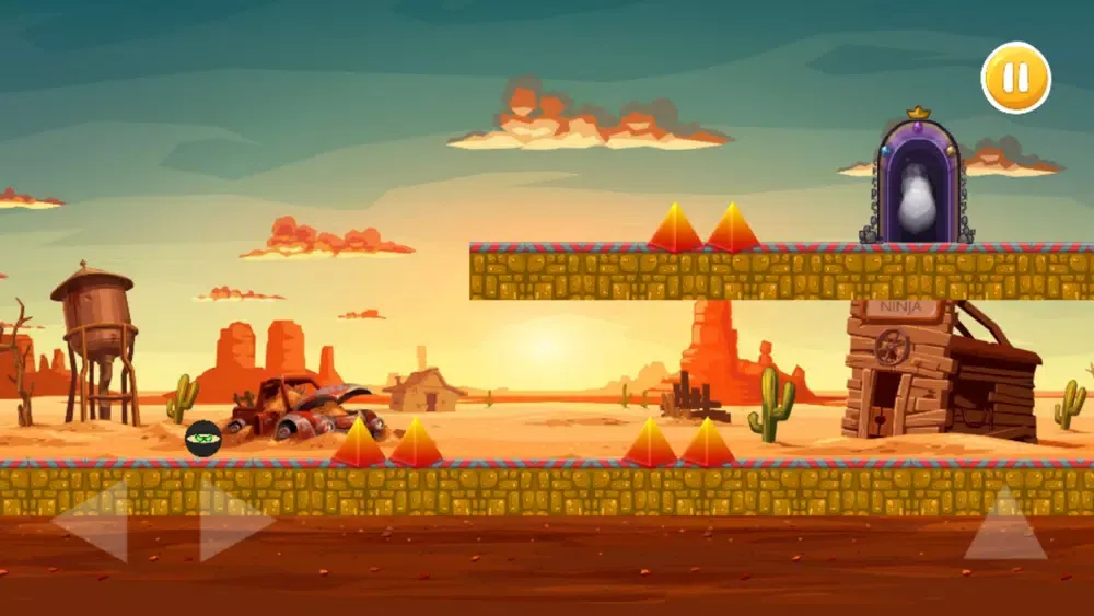 Ninja the Survivor Screenshots