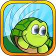 turtle tumble turtle tumble