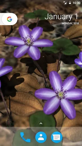Capturas de pantalla de Yukiwarisou 3D LWP Pro