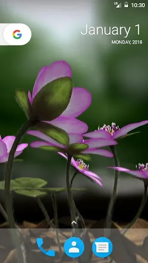 Capturas de pantalla de Yukiwarisou 3D LWP Pro