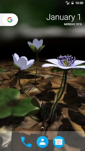Capturas de pantalla de Yukiwarisou 3D LWP Pro