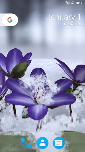Capturas de pantalla de Yukiwarisou 3D LWP Pro