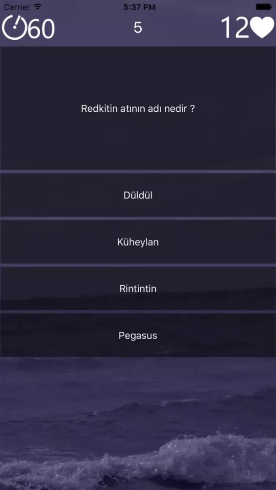 Bilbi Screenshots