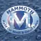 Mammoth Car Wash