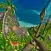 Archery Animals-Jungle Hunting Shooting 3D Game