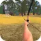 Archery Shooting Quest