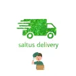 Saltus