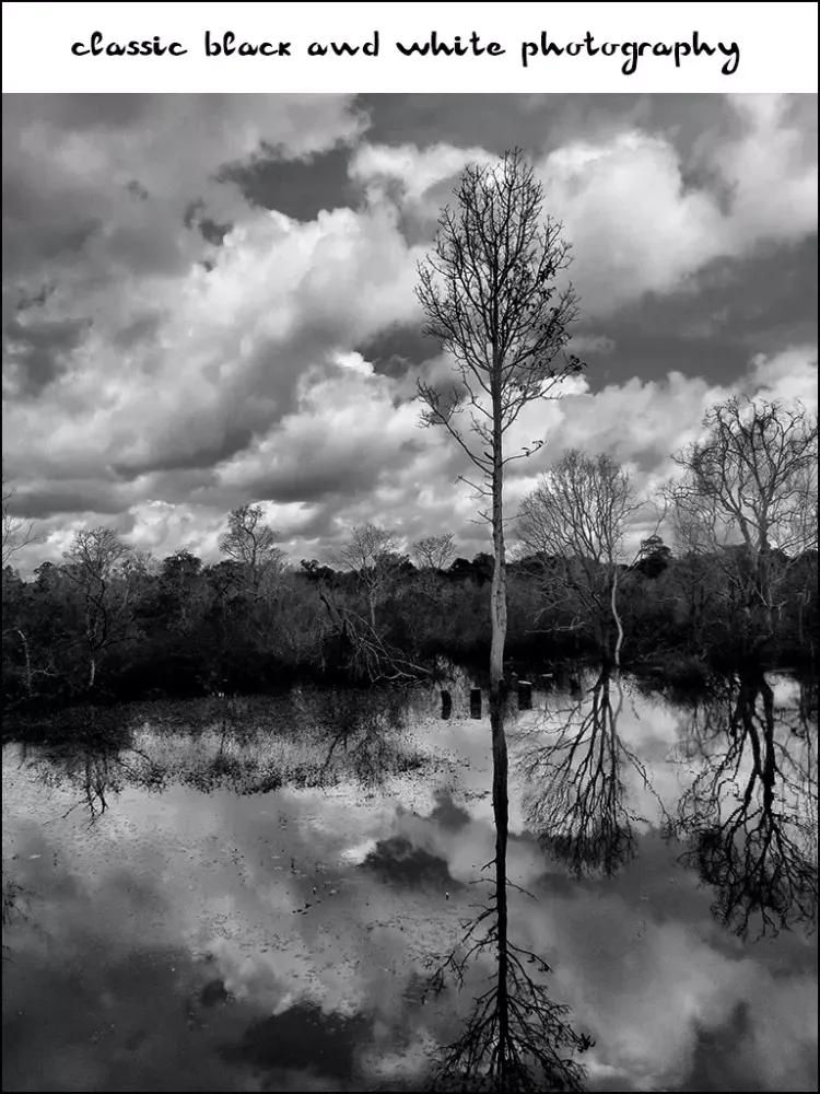 Amazing BW Photo Box PRO - black and white camera photo editor plus effects & filters iPad  স্ক্রিনশট