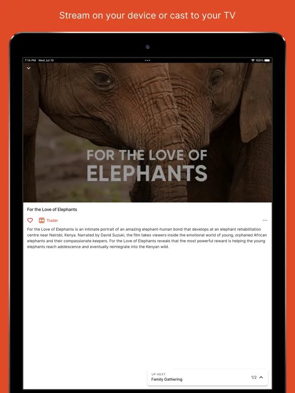 Ảnh chụp màn hình của buddi iPad 
