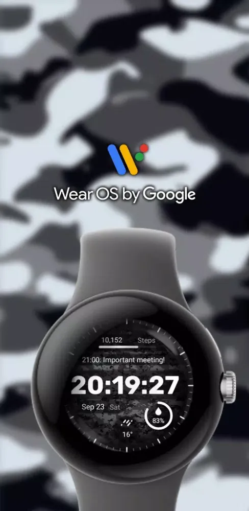 Military Watch Face - F01应用截图
