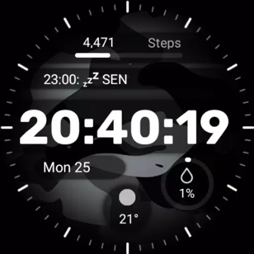 Military Watch Face - F01应用截图