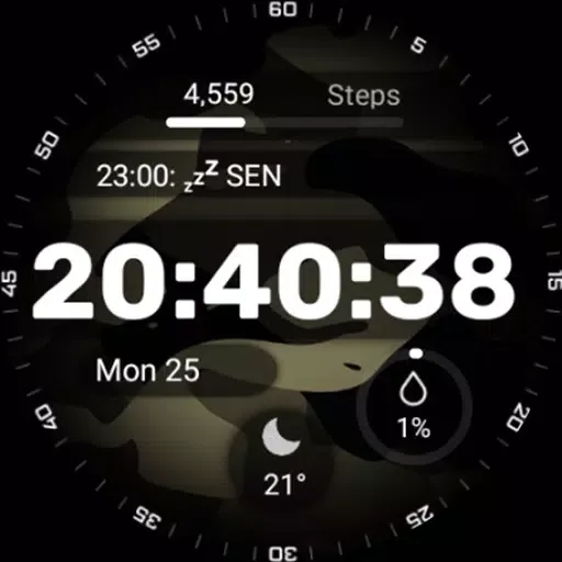 Military Watch Face - F01应用截图