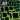Neon Cube Cells