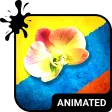 Colombia Live Wallpaper Theme