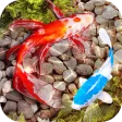 3D Fish Tank Live Wallpaper
