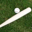 Pro Baseball Stats Pro Baseball Stats
