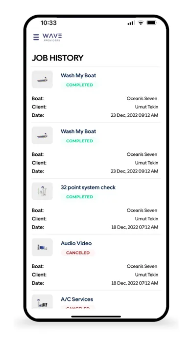 Screenshot di Wave Providers