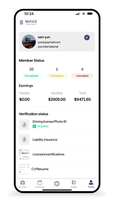 Screenshot di Wave Providers