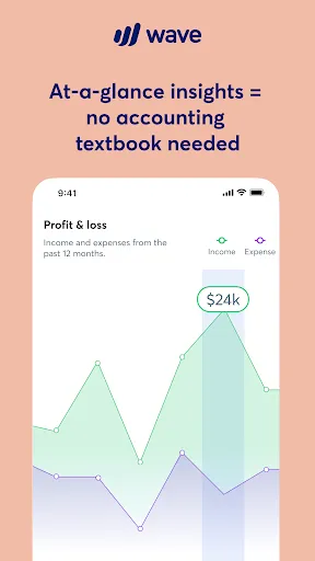 Wave: Small Business Software Screenshots