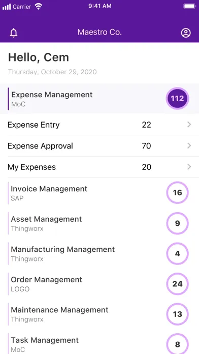 Maestro - Business Process App স্ক্রিনশট