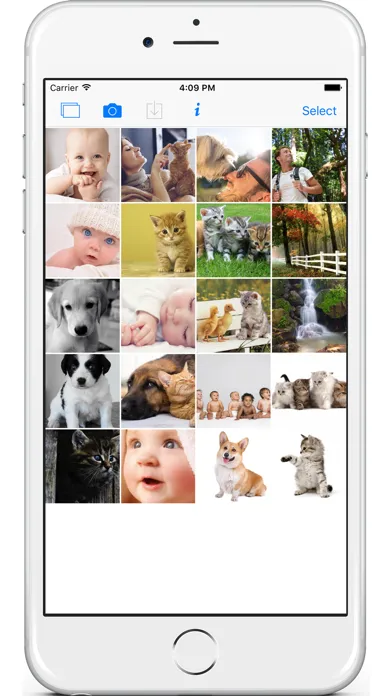صور PhotoZonic