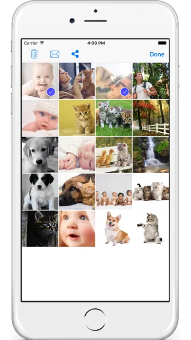 صور PhotoZonic
