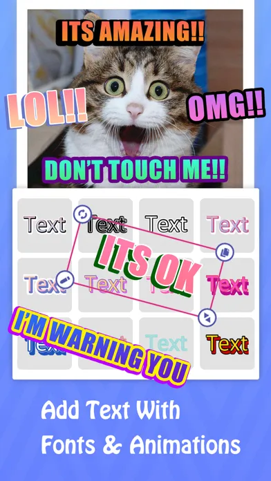 Tangkapan skrin GIF Meme Maker Text on Giphy