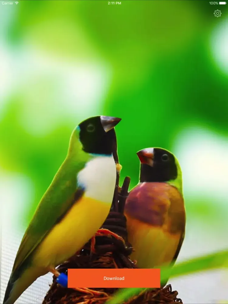 Tangkapan layar Fancy Live Wallpapers for Me - Cool Backgrounds iPad 