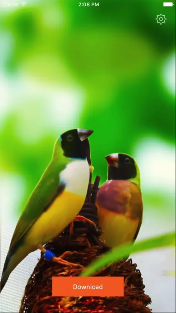 Tangkapan layar Fancy Live Wallpapers for Me - Cool Backgrounds