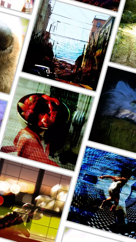DoublePic Camera - Double Exposure Photo Editor for Instagram Ekran Görüntüleri