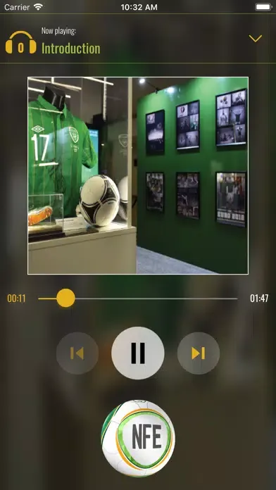 ภาพหน้าจอของ National Football Exhibition