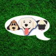 I Love Dogs! I Love Dogs!