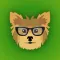 Yorkshire Terrier Emoji