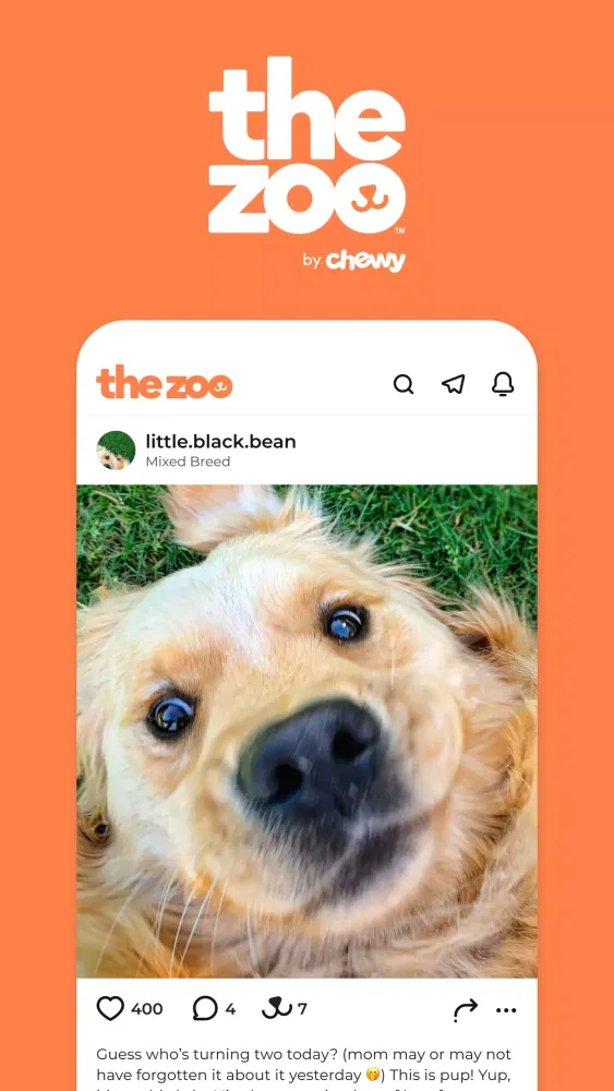 Ảnh chụp màn hình của Zoo by Chewy - Pet Community