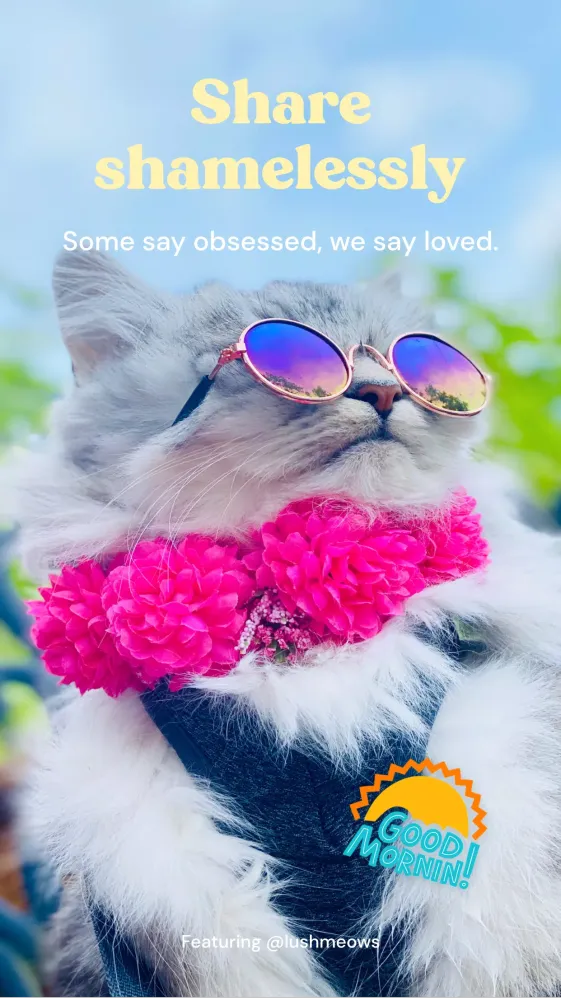 Ảnh chụp màn hình của Zoo by Chewy - Pet Community