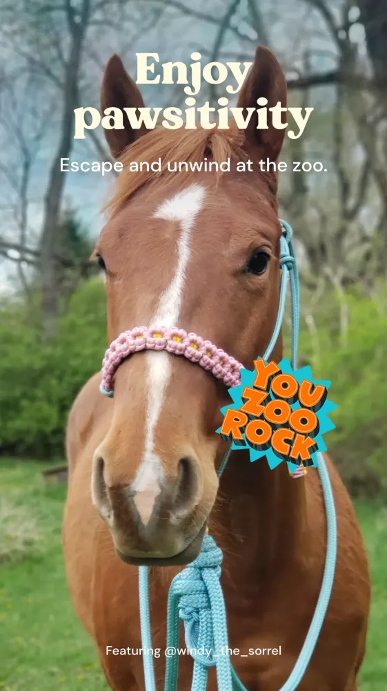 Ảnh chụp màn hình của Zoo by Chewy - Pet Community
