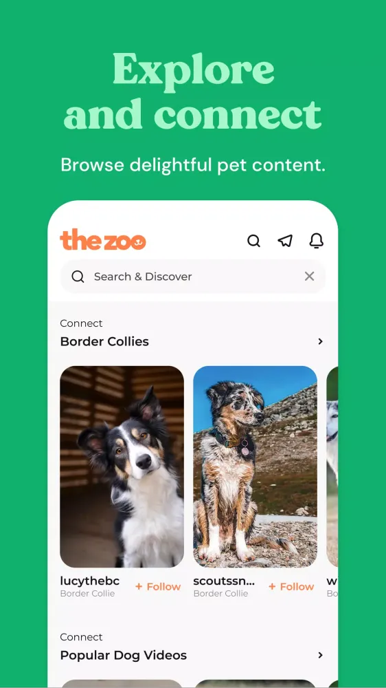 Ảnh chụp màn hình của Zoo by Chewy - Pet Community