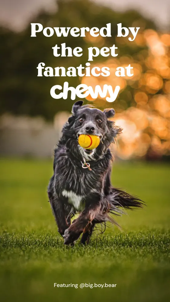 Ảnh chụp màn hình của Zoo by Chewy - Pet Community