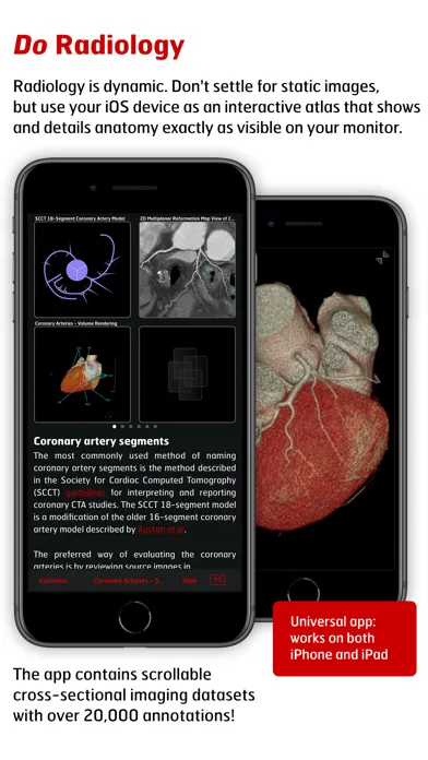 Radiology - Clinical Anatomy Screenshots