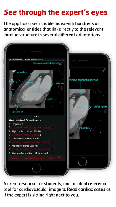 Radiology - Clinical Anatomy Screenshots