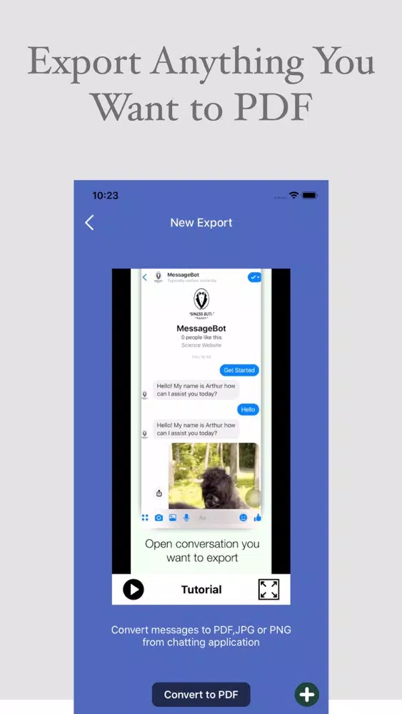 Message SMS Export to PDF,XLS Screenshots