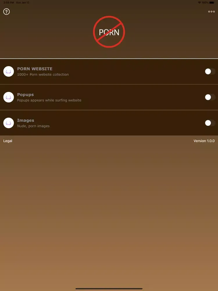 Captures d'écran de Porn Blocker Block Adult web iPad 