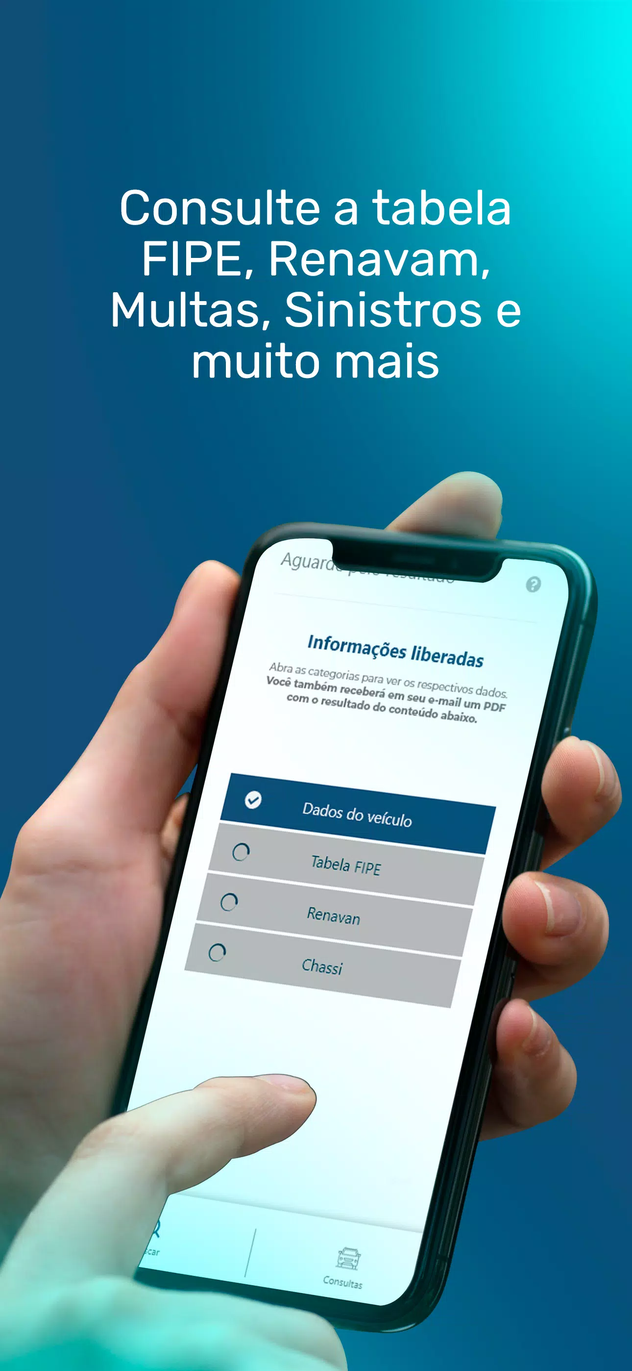 Busca Placas Screenshots6