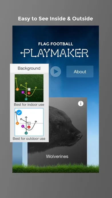 Flag Football Playmaker HD Ekran Görüntüleri