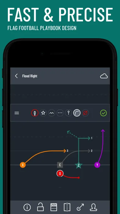 Flag Football Playmaker X سکرین شاٹس