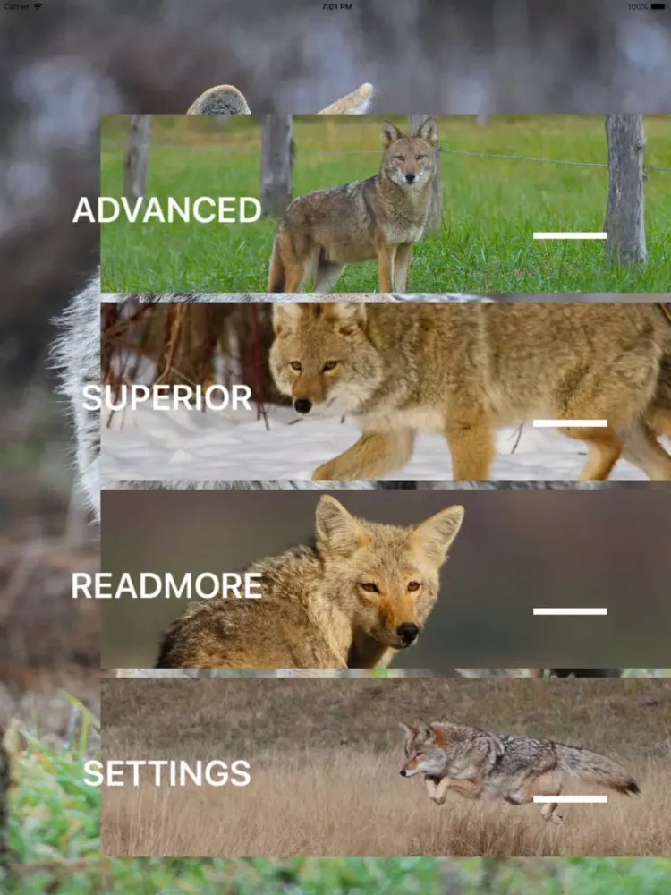 Ảnh chụp màn hình của Coyote Calls - Hunting Sounds iPad 