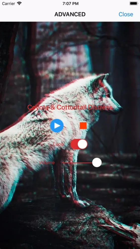 Ảnh chụp màn hình của Coyote Calls - Hunting Sounds