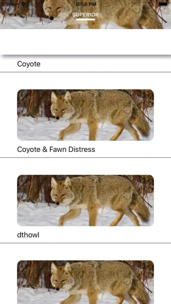 Ảnh chụp màn hình của Coyote Calls - Hunting Sounds
