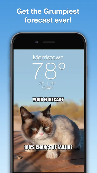 صور Grumpy Cat's Funny Weather
