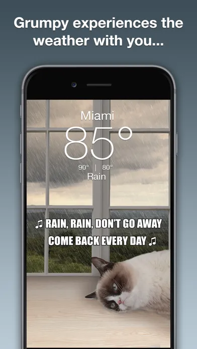 صور Grumpy Cat's Funny Weather